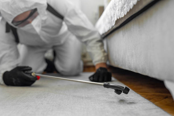 Professional Termite Control technician working in St. John, MO