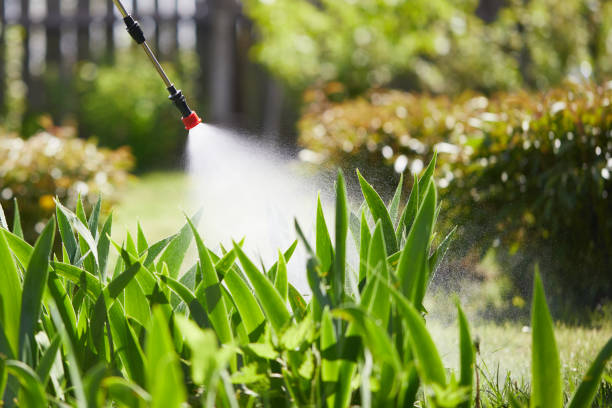 24/7 Emergency Termite Control experts in St. John, MO