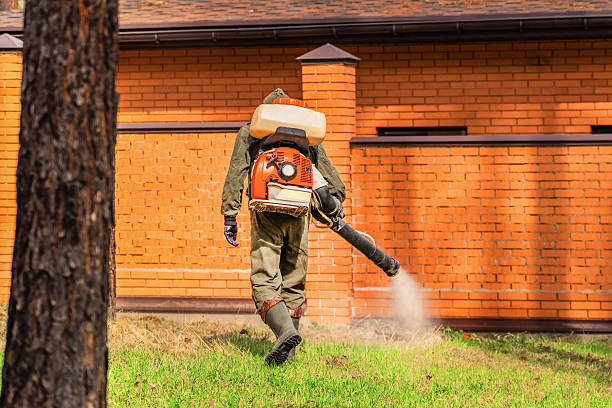 Top rated local Termite Control specialists in St. John, MO